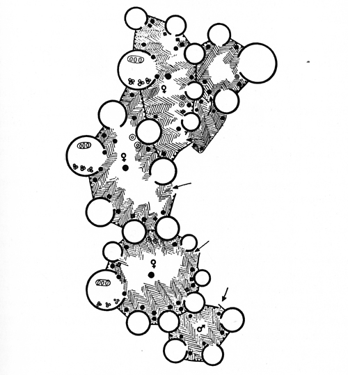 Aristide%20Antonas%20–%20Waste%20Design%20Strategies%202011%20%20